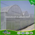 Factory direct latest design low cost greenhouse with plastic film